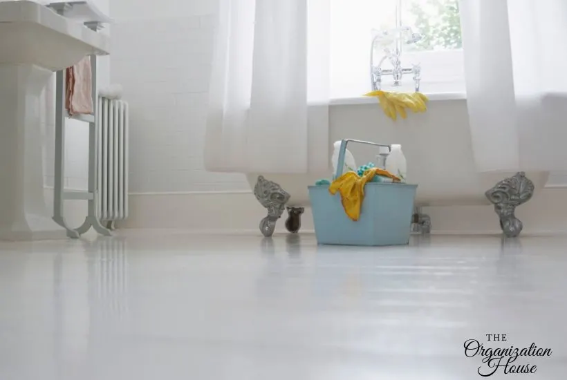 How to Keep your House Clean with 10 Minute Speed Cleaning