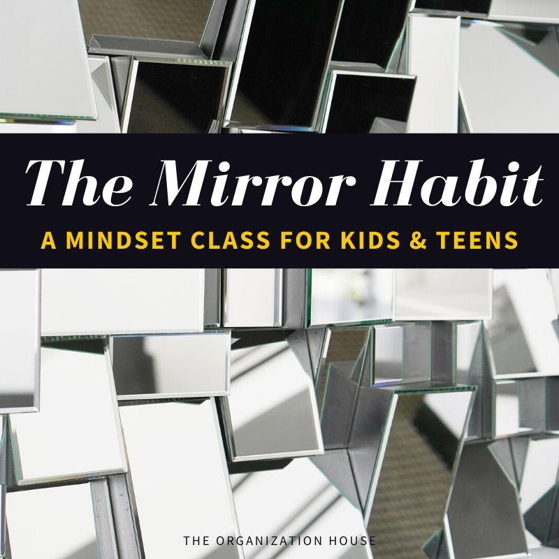 The Mirror Habit - A Mindset Class for Kids and Teens