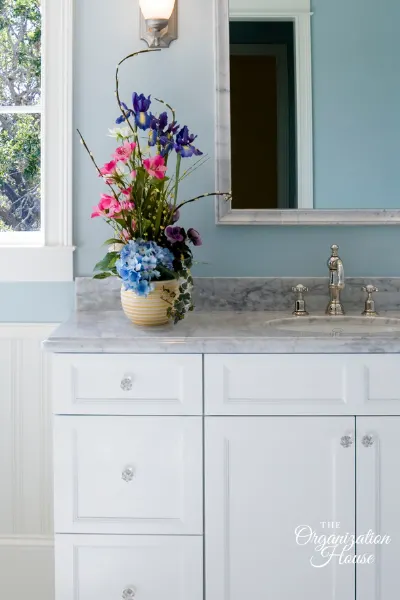 How to Organize Under the Bathroom Sink