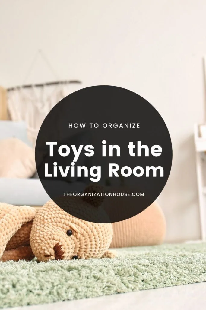 Organizing Toys in the Living Room