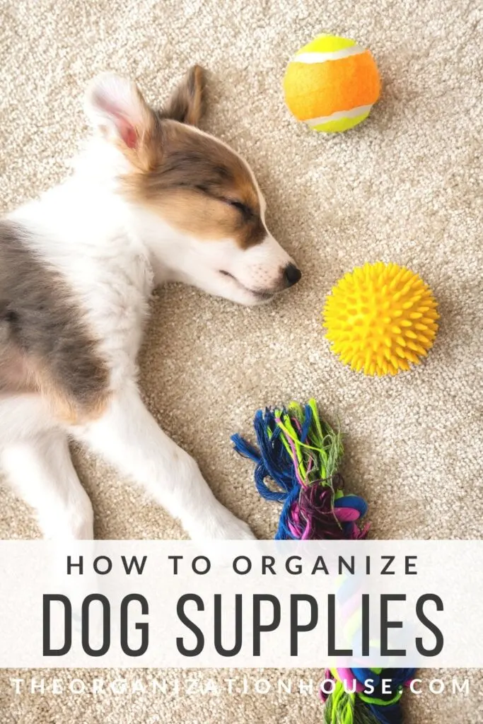 How to Organize Dog Supplies