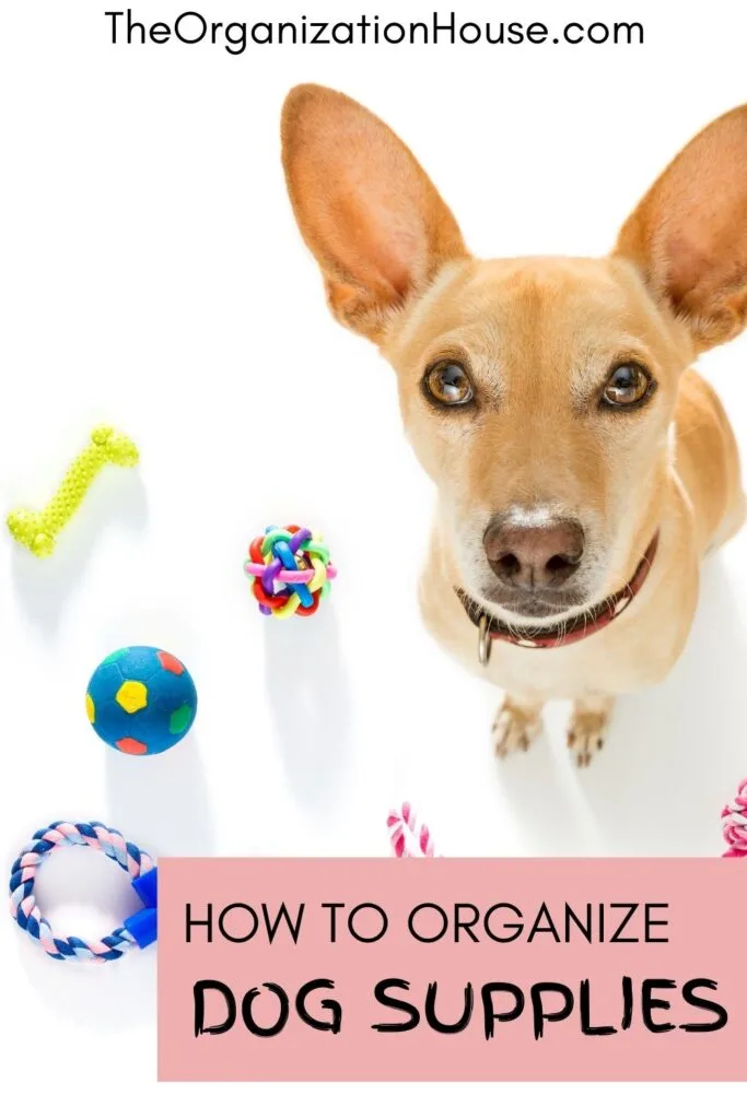 How to Organize Dog Supplies