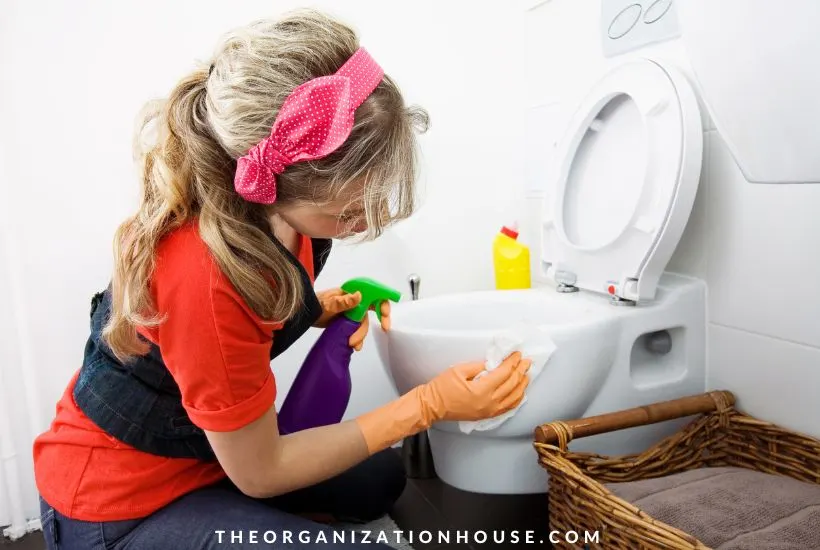 Bathroom Cleaning Tips - Gregory Pest Control