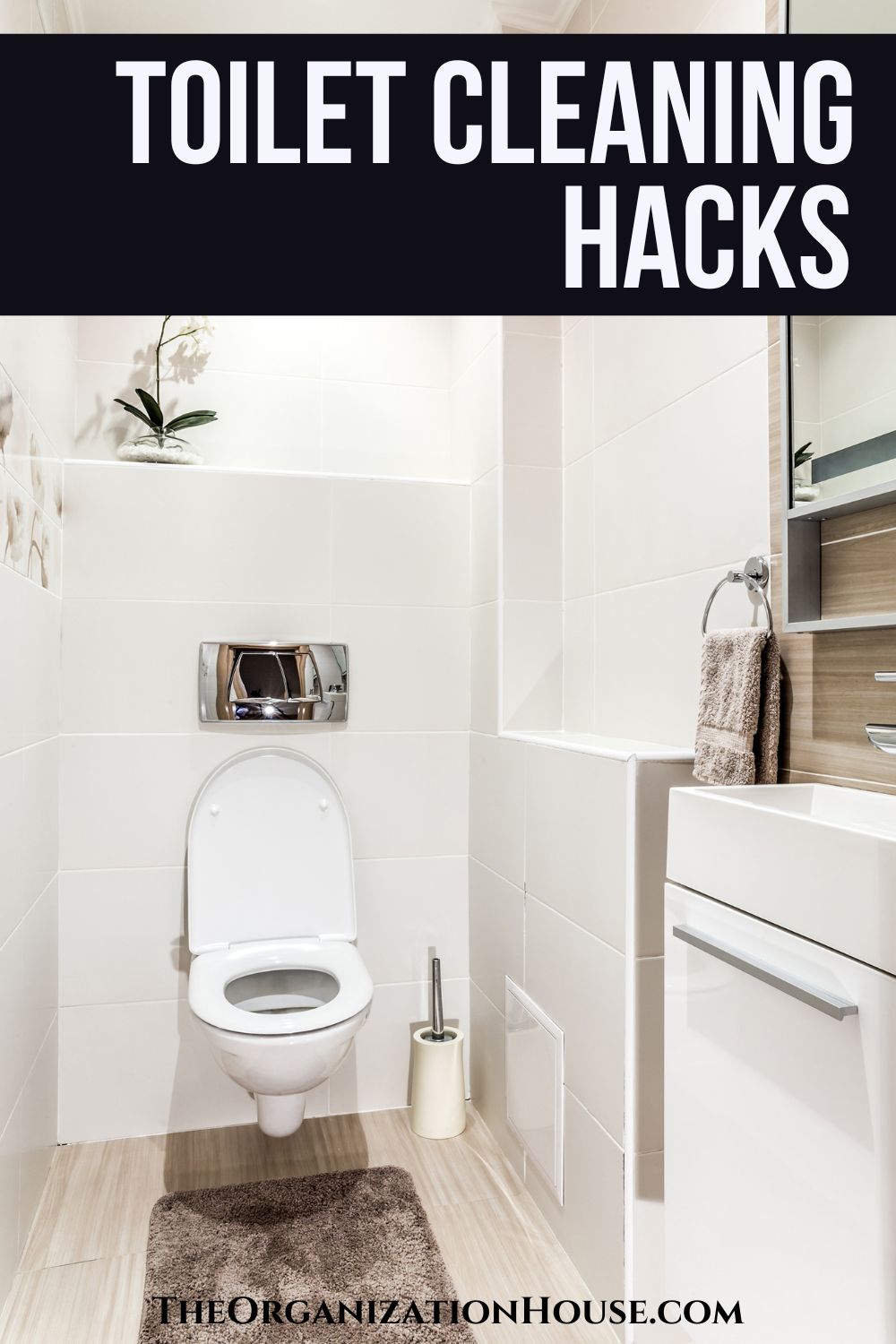 Toilet Cleaning Hacks - The Organization House